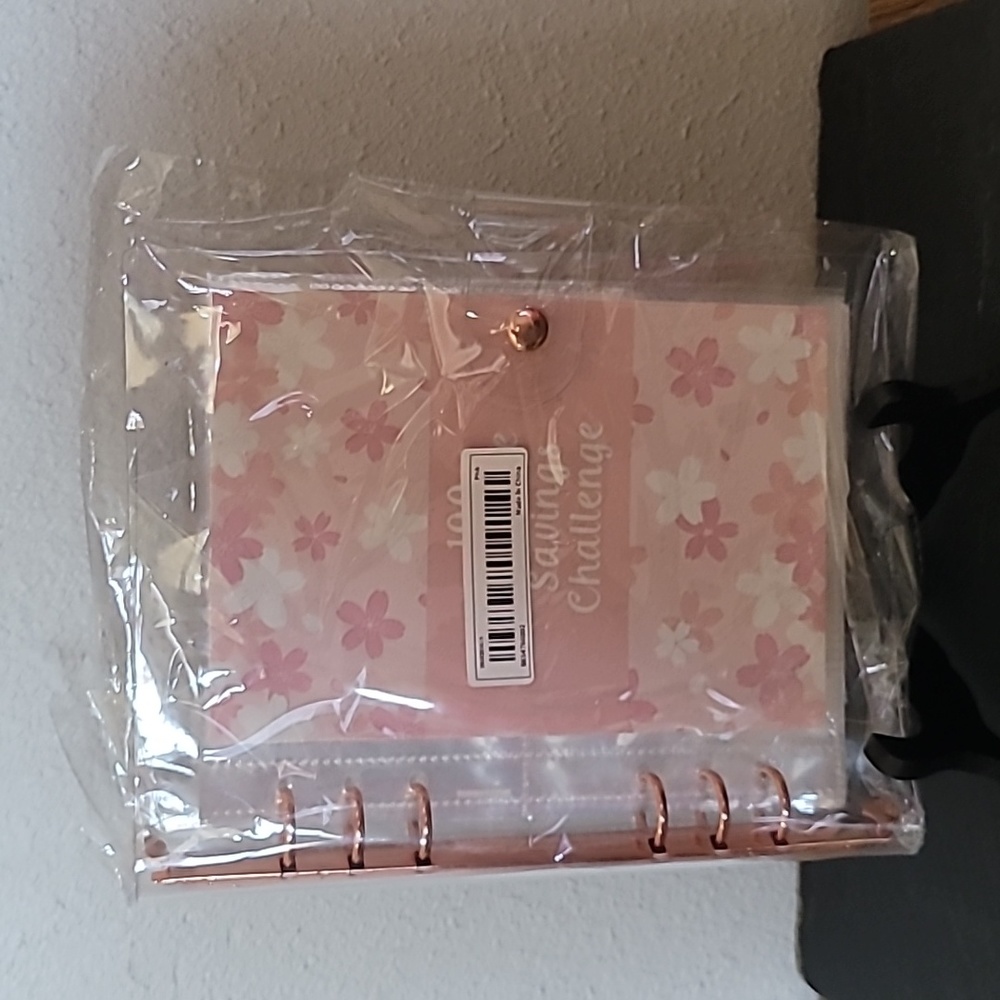 100 envelope savings challenge